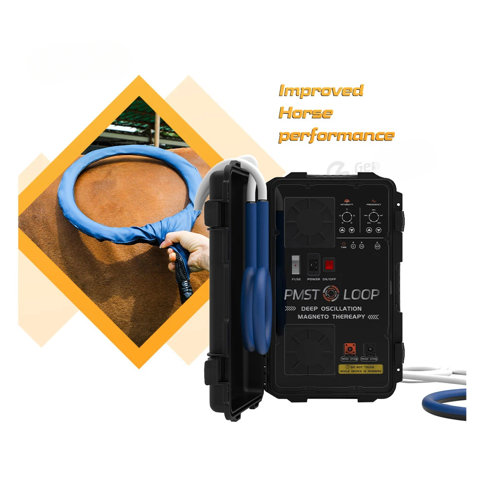 Portatile Equino Pmst Loop Fisio Magneto Pemf Machine Attrezzatura Per Fisioterapia Recupero Rapido