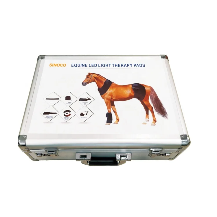 Cavallo Luci Solari Solarium Cavalli Altri Prodotti Per Cavalli