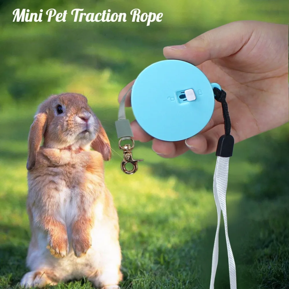 Ultimate Mini Corda Di Trazione Portatile Per Animali Domestici-Prova La Sensazione Di Gomma Spessa E Dura Senza Pari