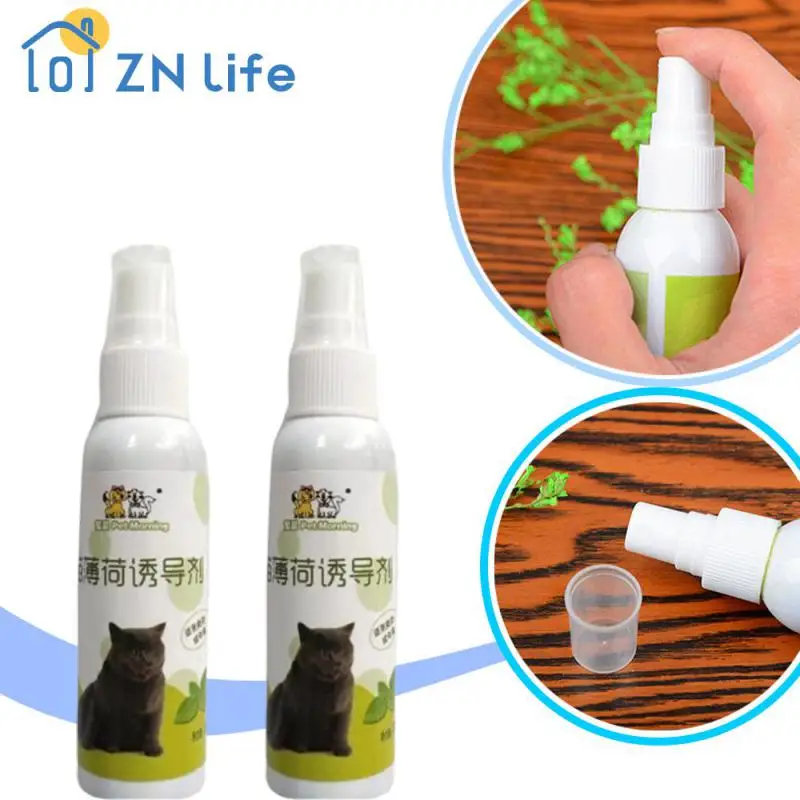 Cat Catnip Spray Ingredienti Sani Spray Per Erba Gatta Per Gattini Ndoor Catnip Spray Ingredienti Sani Catnip Spray Training