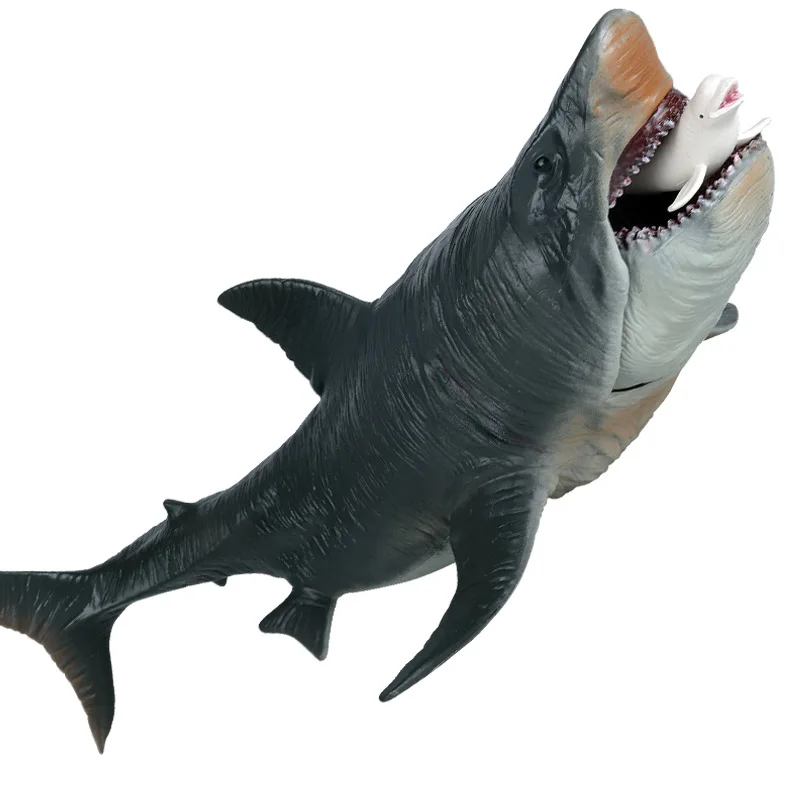 Simulazione Del Modello Di Animale Marino Medievale Gesso Spiny Shark Megalodon Shark Great White Shark Tiger Shark Ornaments Toy