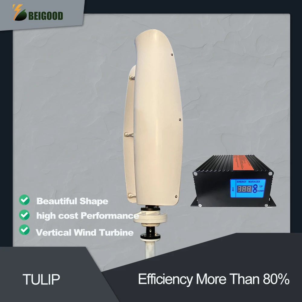 8Kw 5Kw 3Kw Turbina Eolica Energia Libera Mulino A Vento 12V 24V 48V Turbina Eolica Maglev Permanente Ad Asse Verticale Con Inverter Controller
