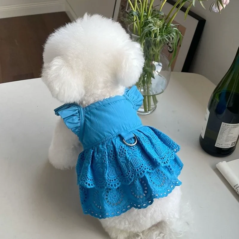 Moda Cucciolo Gonna Di Pizzo Cani Vestiti Vestiti Vestito Per Cani Di Piccola Taglia Abbigliamento Gatto Pet Abiti Carino Estate Yorkies Torta Venduto