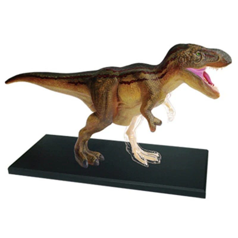 Dinosaur 4D Master Puzzle Assembly Toy Animal Stegosauro Triceratops Tyrannosaurus Rex Organ Anatomy Modello Di Insegnamento Medico