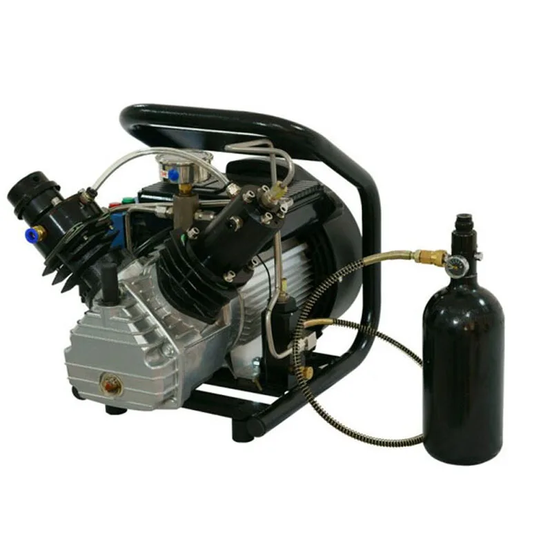 Dmc 220V 4500 Psi 300 Bar Auto Stop Pcp Compressore D'Aria Paintball All'Ingrosso