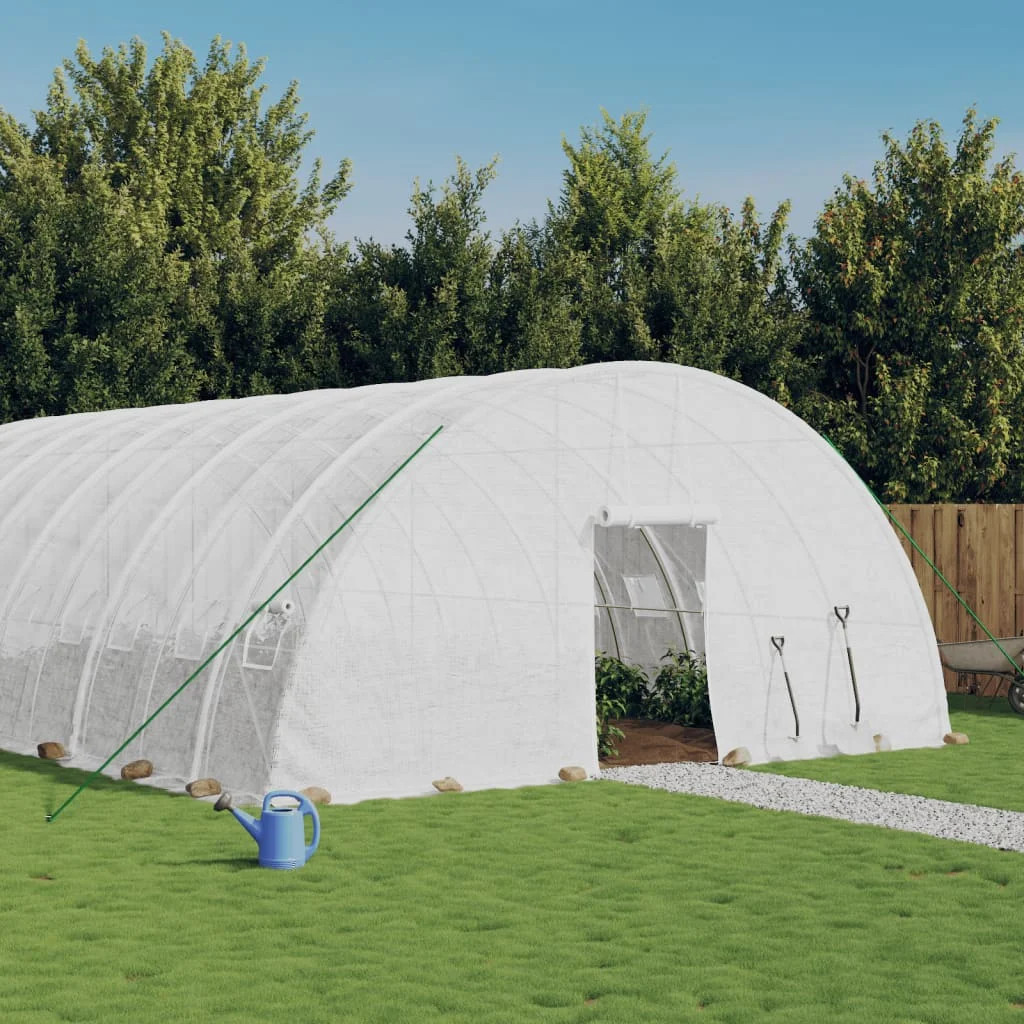 Invernadero Con Estructura De Acero Blanco 60 M² 10X6X2,85 M