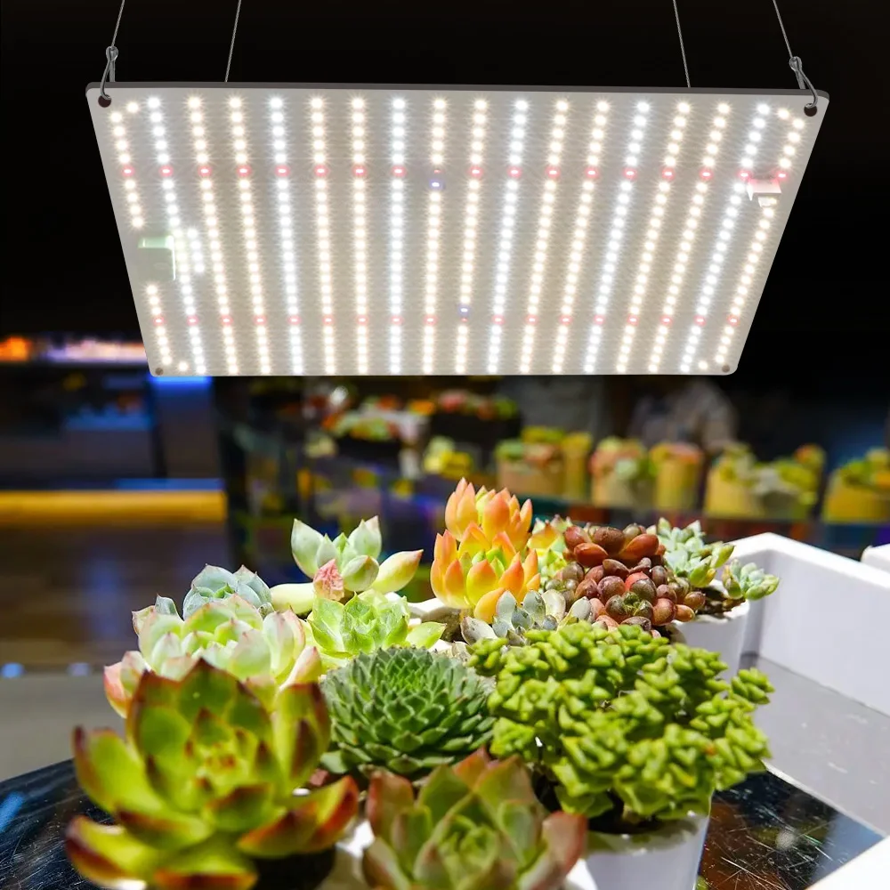 Samsung Led Grow Lm281B Spettro Completo Led Grow Lights 1000W Led Phytolamp Per Piante Da Interno Fiori Serra Semi Growe Tenda