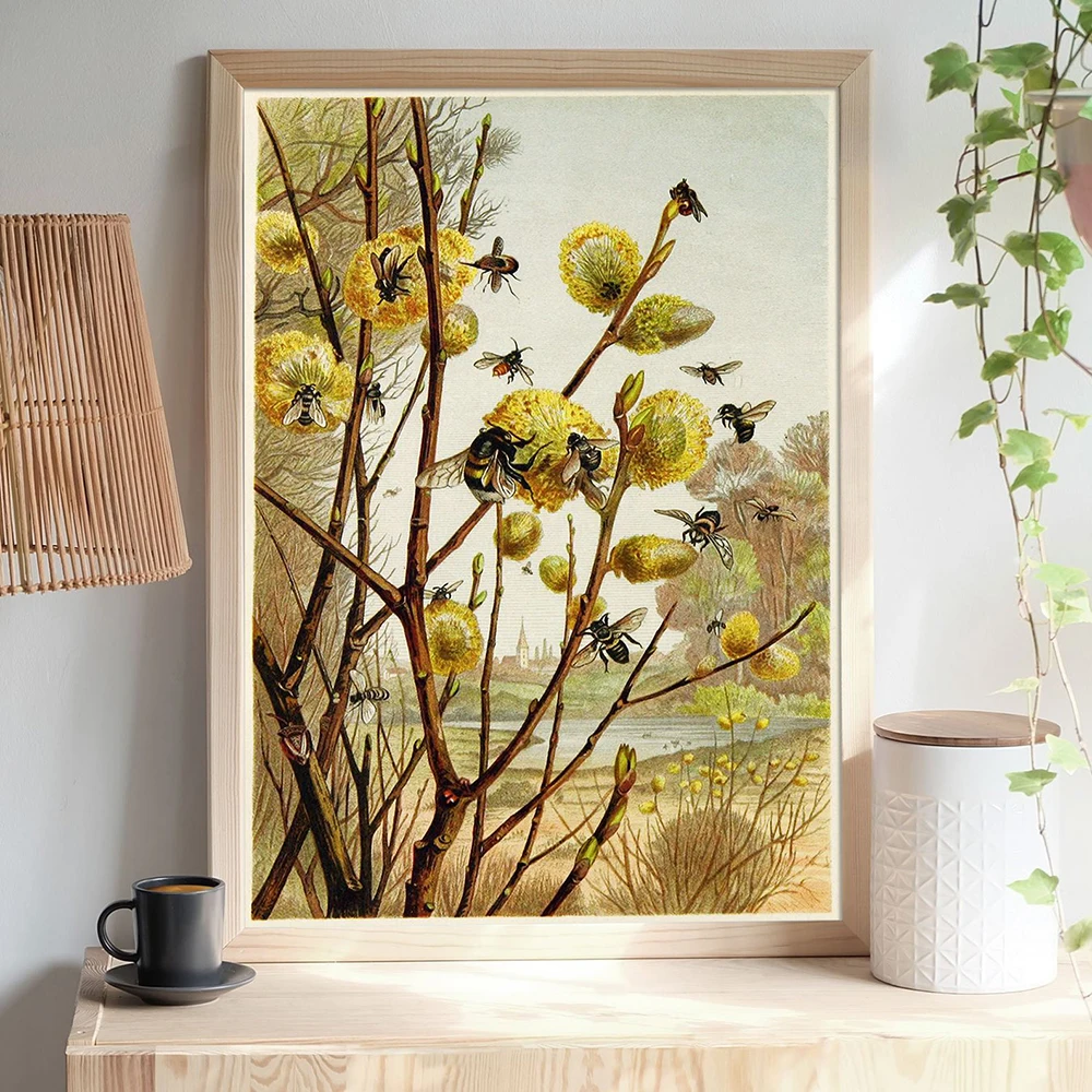 Vintage Bee Prints Natural Poster Insetti Bumblebee Art Prints Wall Art Canvas Painting Botanical Art Bee Diagramma Wall Decor