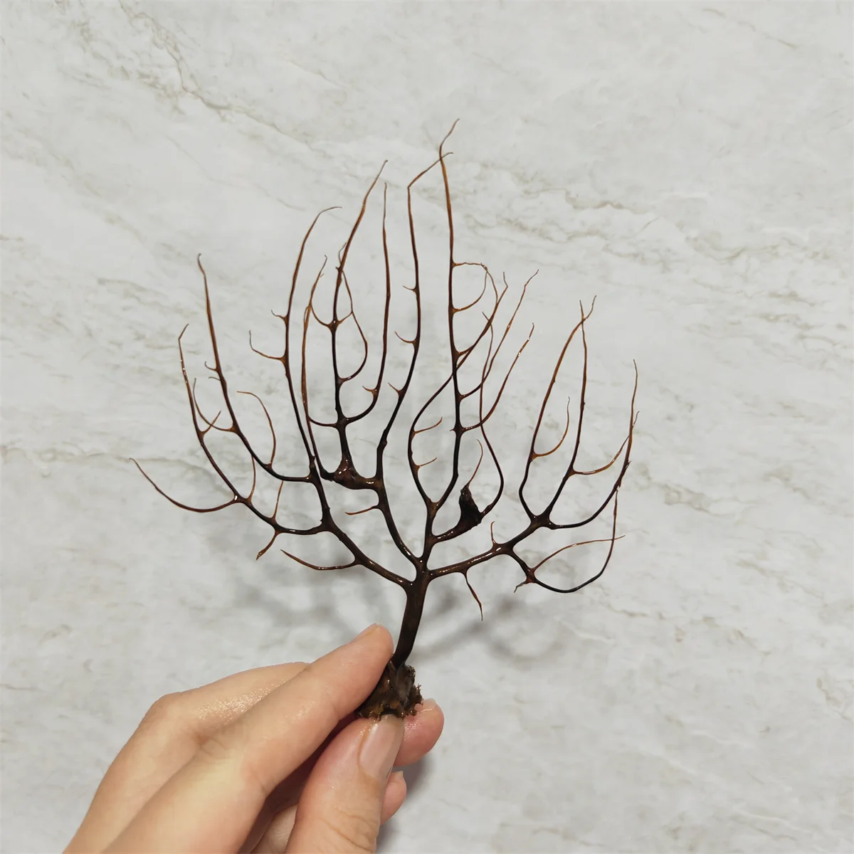 Real Aquarium Plant Black Coral Diy 8/15/Cm Landscape Natural Coral Aquarium Artware Plant Aquario Aquarium Decoration Ornament