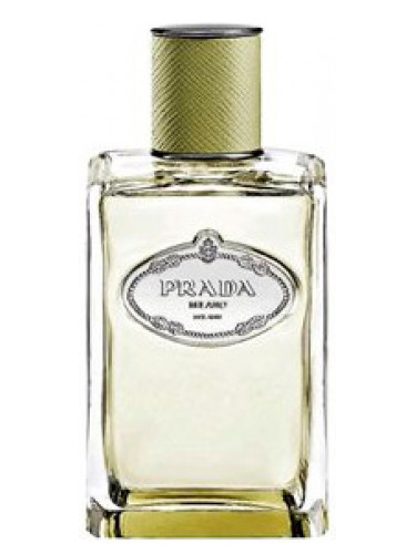 Prada Les Infusions Vetiver Eau De Parfum Spray 100Ml