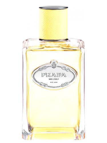 Prada Les Infusions De Mimosa Eau De Parfum 100Ml