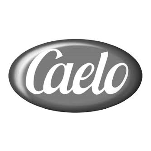 Caelo Magnesio Stearato Ph Eur 1000G