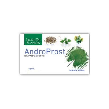 Androprost Ligne De Plantes 60 Capsule