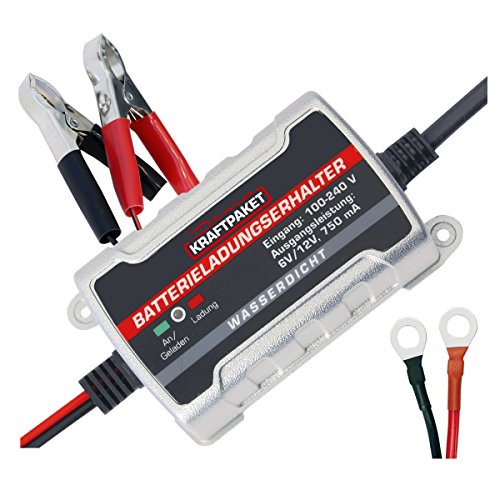 Dino Accumulatore Di Carica Per Batterie, 6V/12V 750 Mah, Per Automobili, Moto E Scooter D'Epoca