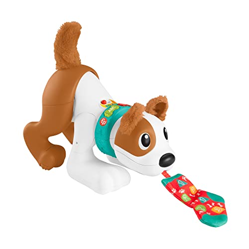 Fisher-Price Krabbel-Hund Bello | Hgy00