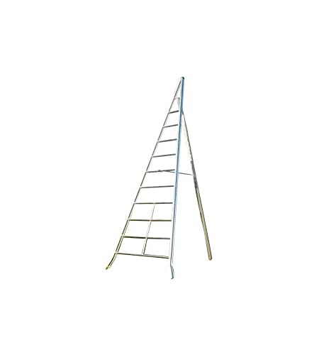 Echelle Direct Scala Alluminio Agricoltura, Alluminio, 3 M