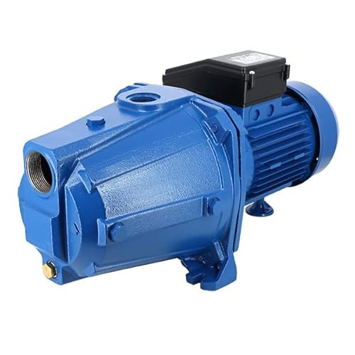 Ebara Serie Aga 0.75 M Elettropompa Monofase Autoadescante In Ghisa