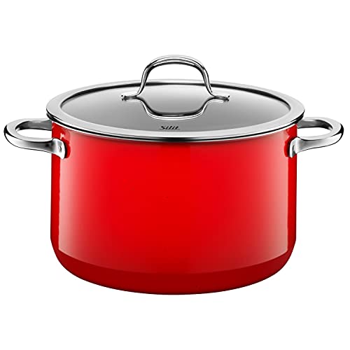 Wmf Silit Passion Pentola Pentola Per Stufati 24 Cm Rosso