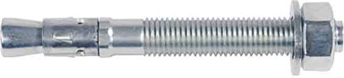 Fischer Fbn Ii 10/100 (10X176) / Pack Of 20 Units 40943