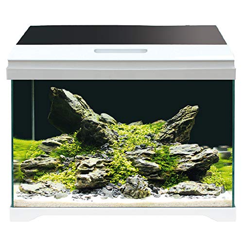 Amtra Modern Tank 40 Led - Acquario Completo Di Illuminazione Led E Filtro Interno / Cm 42,5X23,5X36,5 / 28 Litri