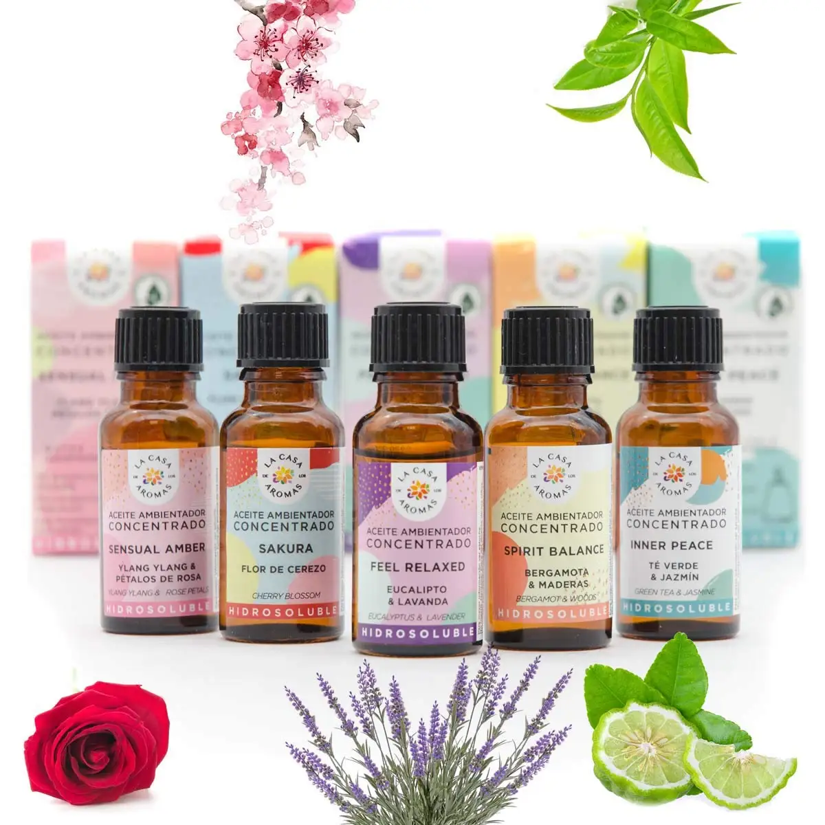 Euroxanty®| Aceite Aromático Hidrosolubile | Aceite Ambientador | Approssimcias Para Humificador | Approssimcias Aromaticas | Concentrado