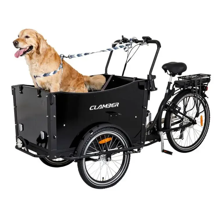Cargo Electric Trike 3 Ruote Cargo Triciclo Elettrico Famiglia Cargo Trike