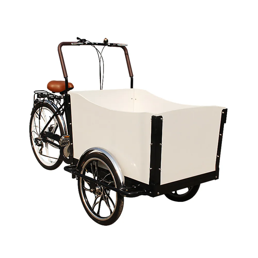 Trike Da Carico Elettrico A Tre Ruote In Lega Di Alluminio Triporteur E Carrello Per Alimenti Mobile Spedizione Via Mare