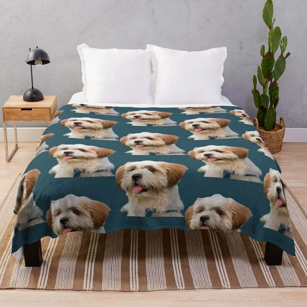 Shichon Mignon, La Vie Est Meilleure Avec Un Shichon, Amourex Des Chiens, La Vie Est Meilleure Avec Coperta Da Tiro