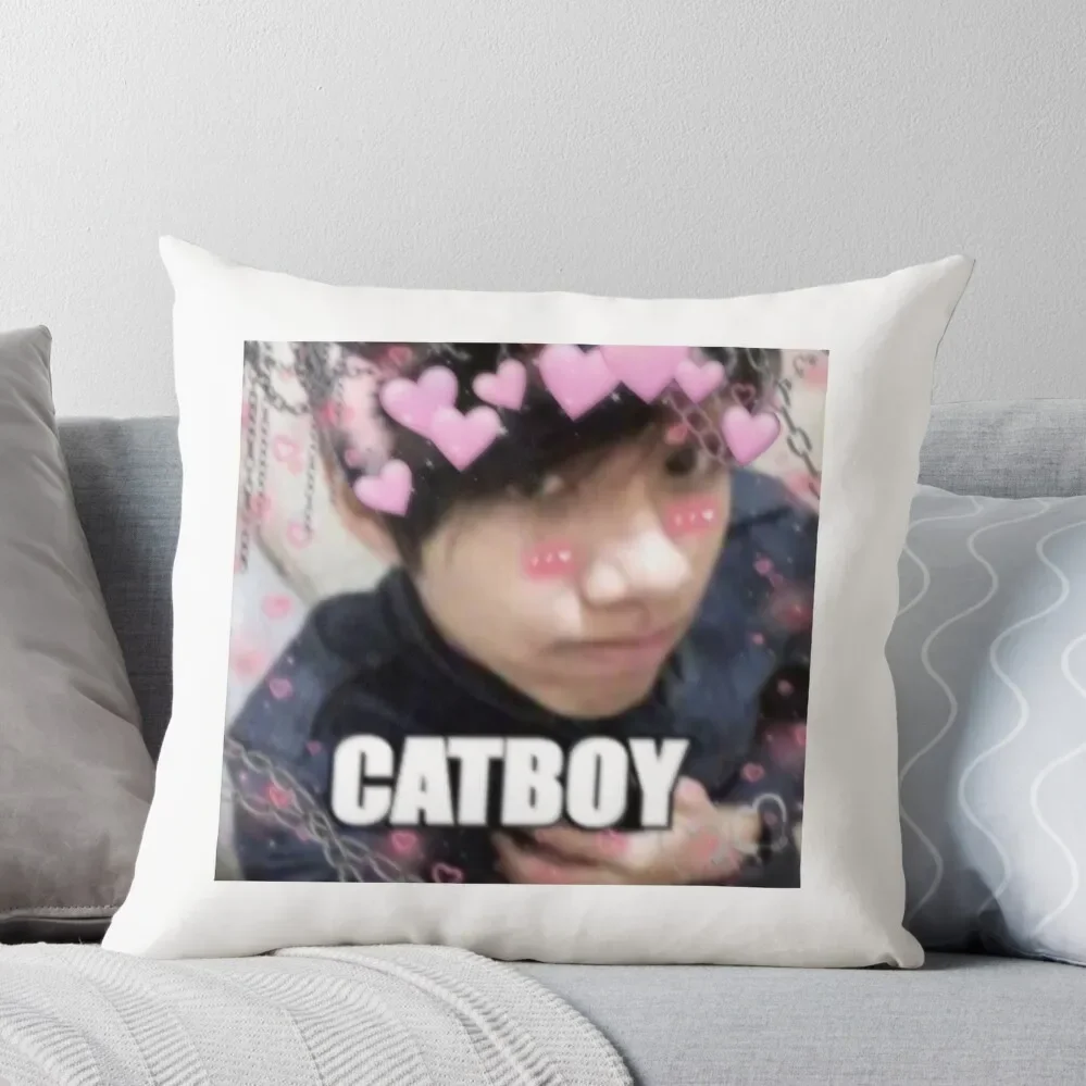 Catboy Quackity Throw Pillow Room Decorating Items Cuscino Per Divano
