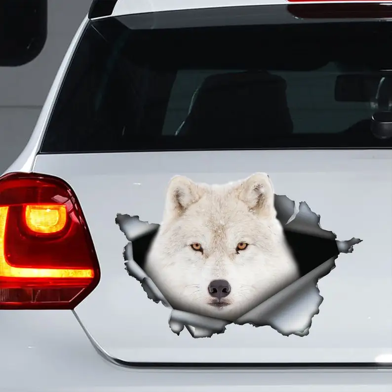 Decalcomania Lupo Artico, Magnete Lupo Artico, Adesivo Lupo Artico, Decalcomania Auto