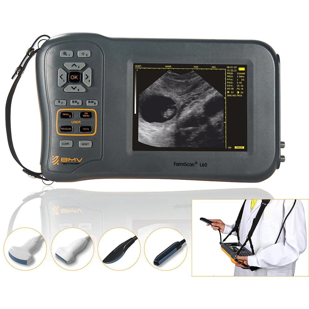Bmv Farmscan L60 Portatile Portatile Bovini Equini Ovini Maiale Scanner Ad Ultrasuoni Ecografo Strumenti Veterinari Echographe Bovini