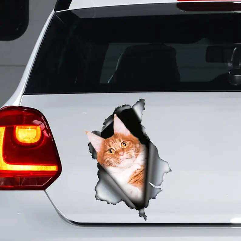 Decalcomania Per Auto Red Maine Coon, Magnete Maine Coon, Adesivo Per Auto Maine Coon, Decalcomania Per Gatti