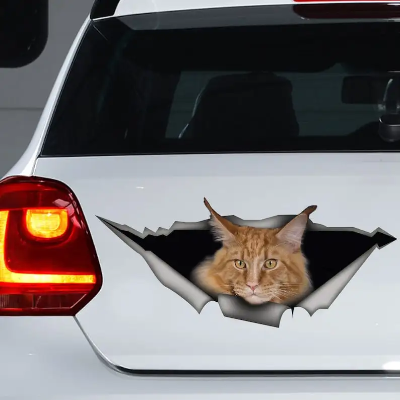 Decalcomania Per Auto Red Maine Coon, Adesivo Divertente, Adesivo Per Auto Red Maine Coon, Magnete Maine Coon