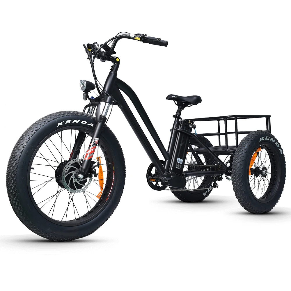 Elettrico Fat Trike 48V 1000W Motoslitta Elettrica A Tre Ruote Fat Ebike 20-24 Pollici Ruota Elettrica Cargo Ebike