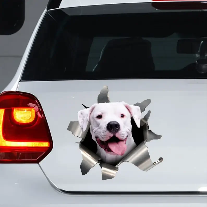 Adesivo Per Auto Dogo Argentino, Decalcomania Dogo Argentino, Magnete Dogo Argentino