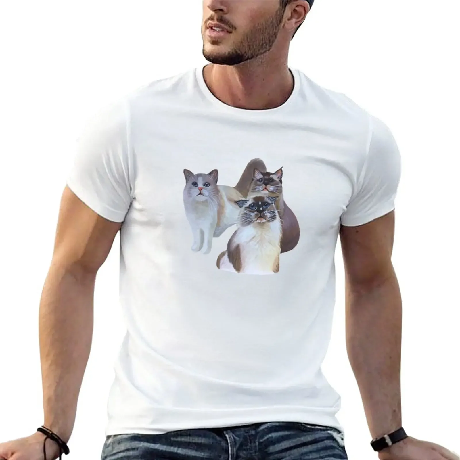 Maglietta Ragdoll Kittens Plain Sports Fans Mens Graphic T-Shirt Pack