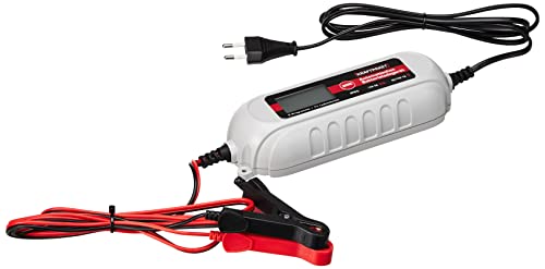 Dino - Caricabatterie 4 A-6 V/12 V, Con Tester Per Batterie Ip65, Per Auto, Moto, Quad, Atv, Barca
