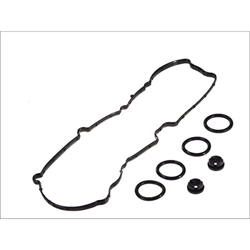 Payen Ae Italia Gp428.960 Elring,