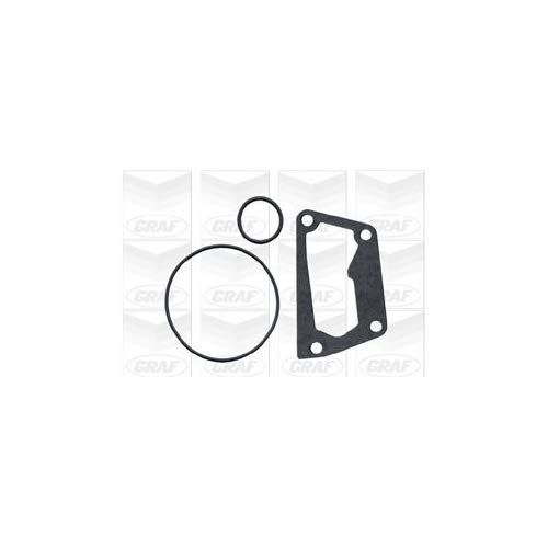 Graf Pompe Pa620 Pompa Acqua Fiat,
