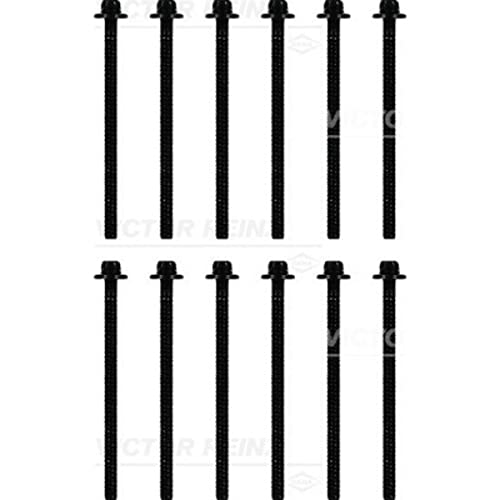 Reinz 14-32132-02 Set Di Bulloni A Testa Cilindrica