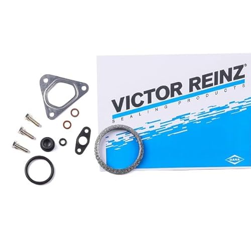 Reinz 04-10044 - 01 Kit Di Montaggio, Caricatore