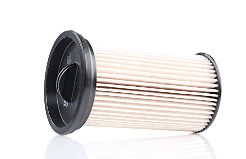 Valeo 587921 Filtro Carburante Filtri Motore, Elevate Proprietà Di Filtrazione, Durevolezza, Applicazione Facile E Precisa