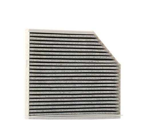 Valeo 715580 Filtro, Aria Dell'Abitazione Protect Filtro Per Polline Con Carbone Attivo Protezione Contro Il Polline, La Polvere, I Batteri, I Gas E I
