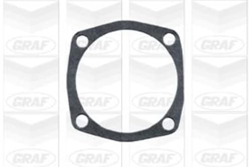 Graf Pompe Pa554 Pompa Acqua