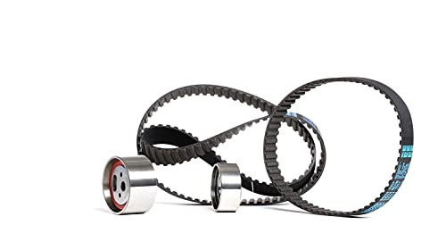 Dayco Ktb118 Kit Distribuzione