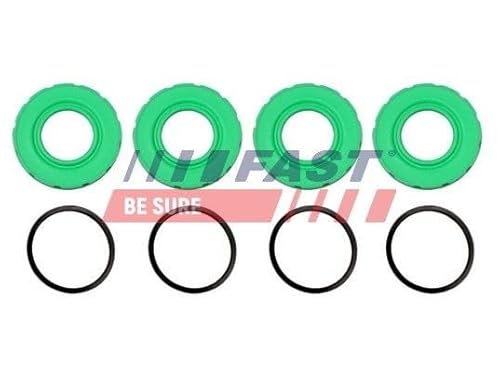 Fast Ft32207 Kit Revisione Pinza Freno