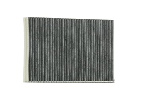 Valeo 698875 Filtro Aria Abitacolo Protect Filtro Anti Polline Al Carbone Attivo Protezione Contro Il Polline La Polvere I Batteri I Gas E I Cattivi O