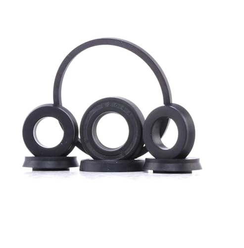 Autofren Seinsa D1160 - Kit Riparazione, Cilindro Maestro Comando Freno