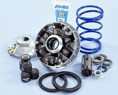 Variatore Hi-Speed Piaggio Evolut.2 16