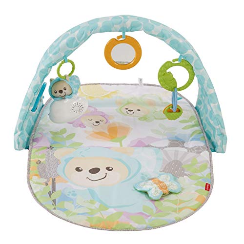 Fisher-Price Palestrina Musicale Degli Orsetti Con Arco Colorato, 5 Giocattoli Agganciabili, Musica E Suoni, Per Neonati Da 0+ Mesi, Dyw46